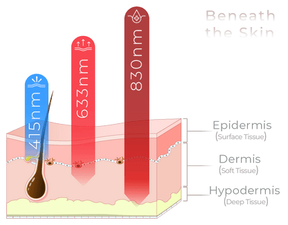 Skin and Hair Bundle